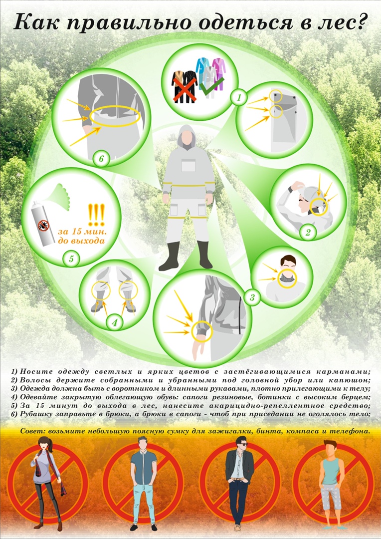 Правильная одежда в лесу