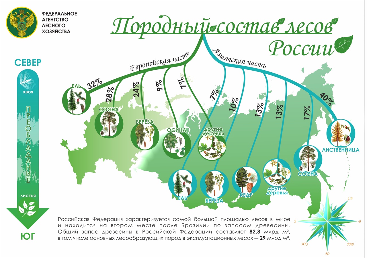 Интерактивная карта лесов россии рослесинфорг